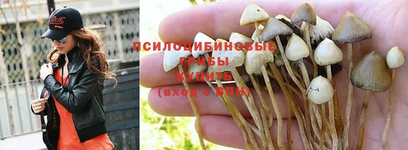 как найти закладки  Люберцы  Галлюциногенные грибы Magic Shrooms 